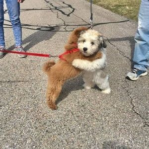 Meet your Posher, Lily